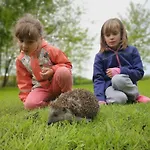 Villa Tuecsoektanya Vendeghaz *