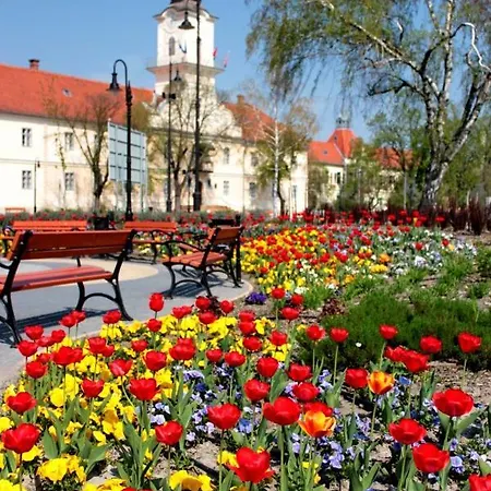 Вилла Tuecsoektanya Vendeghaz Csemo