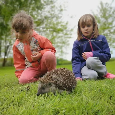 Вилла Tuecsoektanya Vendeghaz *