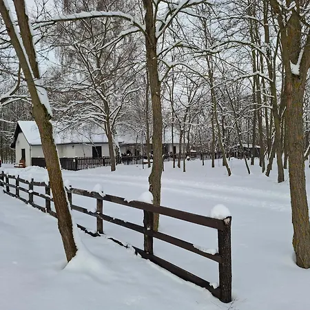 Tuecsoektanya Vendeghaz Villa Csemo